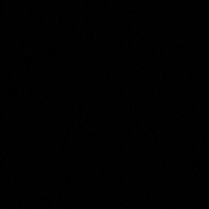 Meet your Posher, Gavin